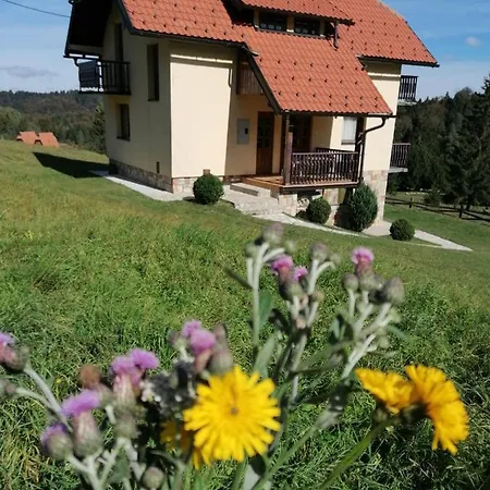 Vila Milija Bajina Basta Exterior photo