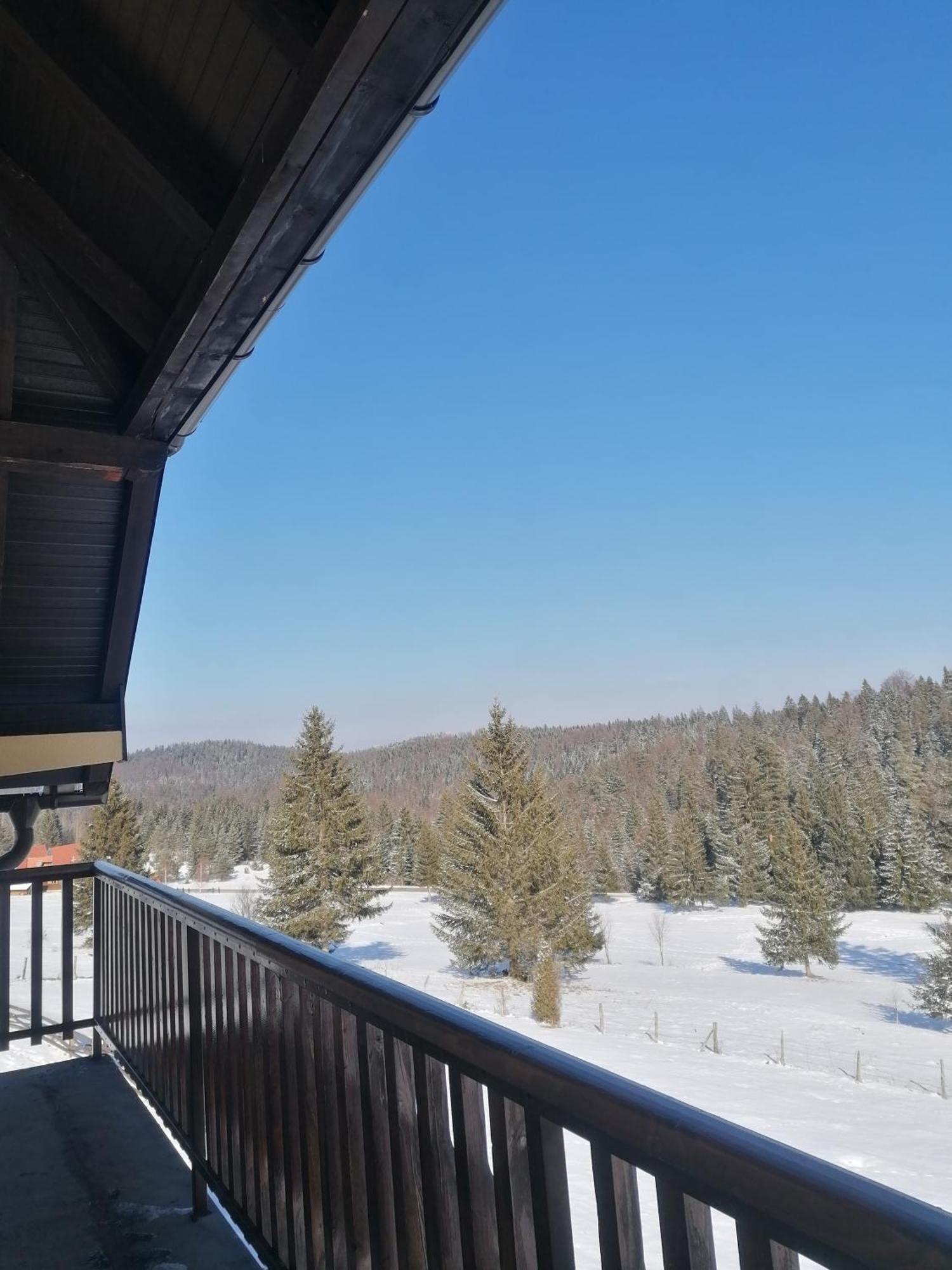 Milija Apartment Bajina Basta